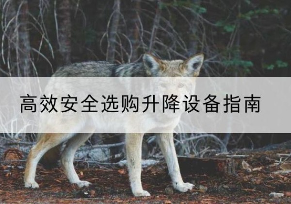 息烽升降货梯厂家推荐-*安全选购升降设备指南