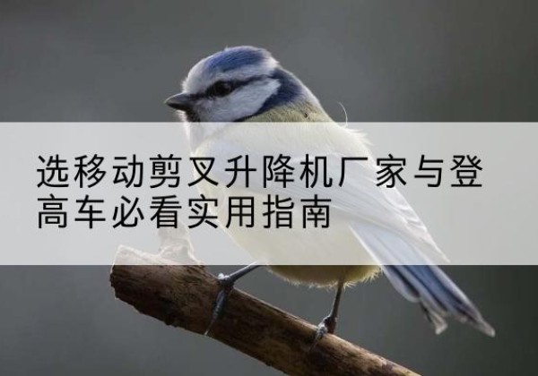 息烽电动升降机厂家-选移动剪叉升降机厂家与登高车必看实用指南